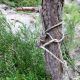 058 Barranc Cova Pintada Toll Brossa Mas Barberans Rocjumper