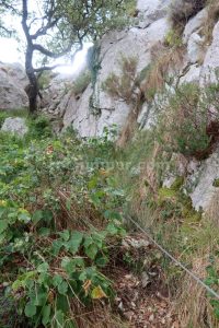 Collado La Parcia - Vía Ferrata La Hermida - RocJumper