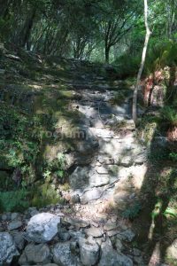 Inicio - Vía Ferrata El Risco - Matienzo - RocJumper