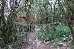 Covalanas - Vía Ferrata El Caliz - Ramales de la Victoria - RocJumper