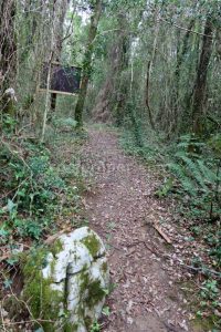 Retorno - Vía Ferrata Callejomadero - Ramales de la Victoria - RocJumper