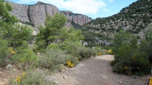 Pista - Barranc de l'Infern - La Pobla de Segur - RocJumper