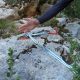 014 Barranc Moro Erinya Rocjumper