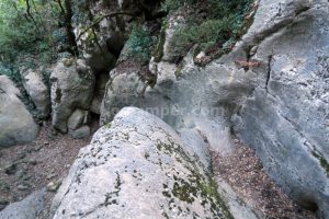 R2 - Barranc de Moró - La Pobla de Segur - RocJumper