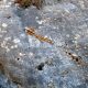 038 Barranc Moro Erinya Rocjumper