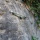 046 Barranc Moro Erinya Rocjumper