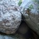 048 Barranc Moro Erinya Rocjumper