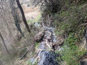 Sendero salida - Barranc d'Estaron o de les Aubagues - RocJumper