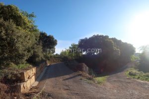 Entrada Gurp - Barranc de Gurp - RocJumper