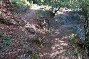 Bifurcación - Barranc de Gurp - RocJumper