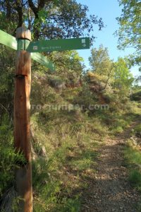 Palo indicador - Barranc de Gurp - RocJumper
