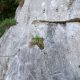 035 Via Ferrata Socueva Arrendondo Rocjumper