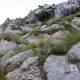 043 Via Ferrata Socueva Arrendondo Rocjumper