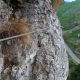 085 Via Ferrata Concha San Roque Riomiera Rocjumper