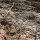 102 Via Ferrata Roca Foradada Pobla Segur Rocjumper