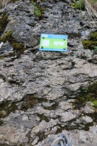 Tirolina - Vía Ferrata La Concha - San Roque de Riomiera - RocJumper