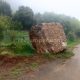 003 Barranc Grau Plana Fuiet Gurp Rocjumper