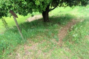 Carteles - Torrent de Cal Patzí - La Nou de Berguedà - RocJumper