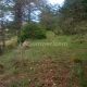 008 Barranc Obaga Negra Boixols Rocjumper