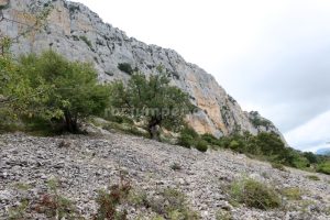 Tartera Canchal - Vía Ferrata Peña Karria - Arroyo de San Zadornil - RocJumper