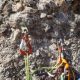 010 Barranco Cueva Cabrito Almunias Rodellar Rocjumper