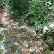014 Barranc Coll Sant Ramon Figols Rocjumper