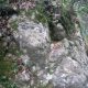 014 Torrent Cal Petzi Nou Bergueda Rocjumper