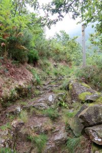 Aproximación - Vía Ferrata de Pandillo - Vega de Pas - RocJumper