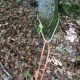 017-barranc-coll-sant-ramon-figols-rocjumper