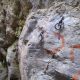 017 Torrent Cal Petzi Nou Bergueda Rocjumper