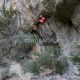 019 Barranc Os Cochas Mascun Inferior Rodellar Rocjumper