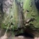 019 Torrent Cal Petzi Nou Bergueda Rocjumper