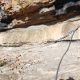 020 Via Ferrata Valderredible Villaescusa Ebro Rocjumper