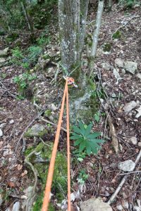 R2 - Barranco del Coll de Sant Ramon - Fígols - RocJumper