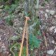 021 Barranc Coll Sant Ramon Figols Rocjumper