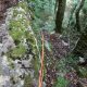 022 Barranc Coll Sant Ramon Figols Rocjumper