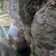 022 Torrent Cal Petzi Nou Bergueda Rocjumper