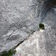 022 Via Ferrata Pena Karria San Zadornil Rocjumper