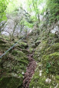R2 - Barranco del Coll de Sant Ramon - Fígols - RocJumper