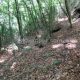 024 Barranc Coll Sant Ramon Figols Rocjumper