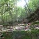 025 Barranc Coll Sant Ramon Figols Rocjumper