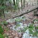 029 Barranc Coll Sant Ramon Figols Rocjumper
