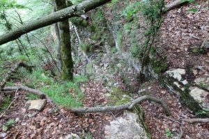 R4 - Barranco del Coll de Sant Ramon - Fígols - RocJumper