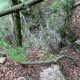 030 Barranc Coll Sant Ramon Figols Rocjumper