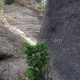 031 Barranco Cueva Cabrito Almunias Rodellar Rocjumper