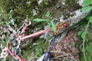 R5 - Barranco del Coll de Sant Ramon - Fígols - RocJumper