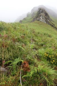 Retorno - Vía Ferrata de Pandillo - Vega de Pas - RocJumper
