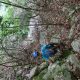 035 Barranc Coll Sant Ramon Figols Rocjumper
