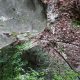 037 Barranc Coll Sant Ramon Figols Rocjumper