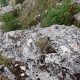 037 Via Ferrata Pena Karria San Zadornil Rocjumper
